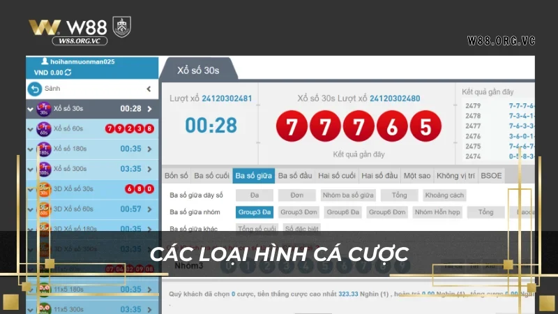 Các loại hình cá cược bộ môn này được W88 cung cấp